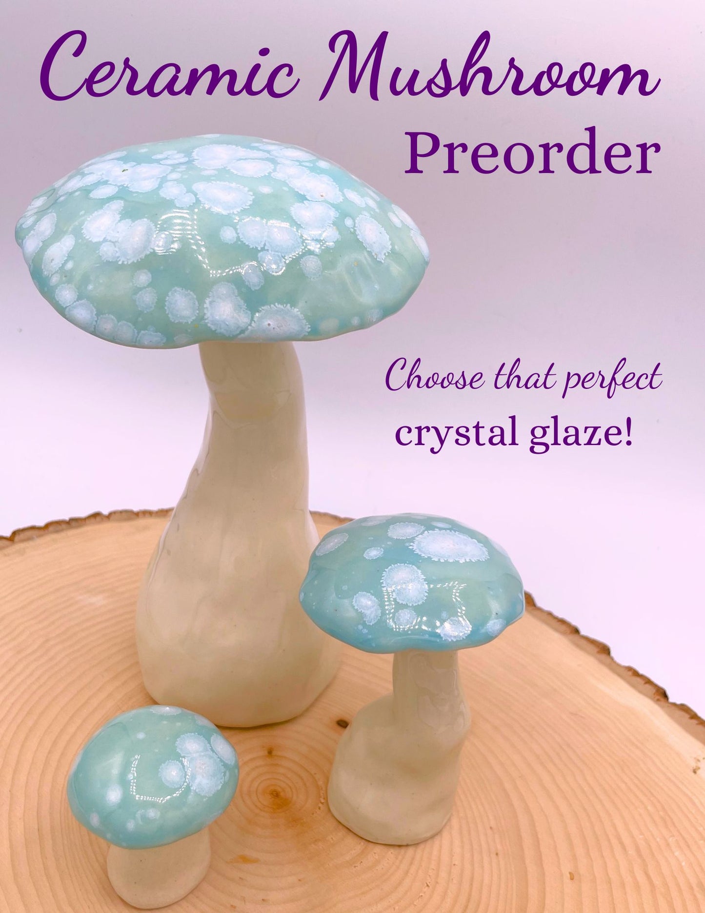 Mushroom Preorder