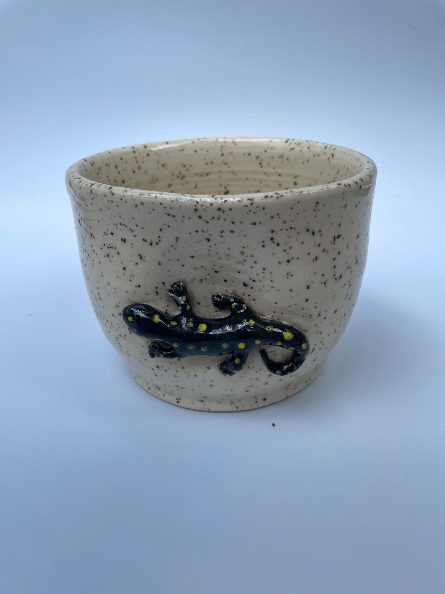 Planter - Spotted Salamander
