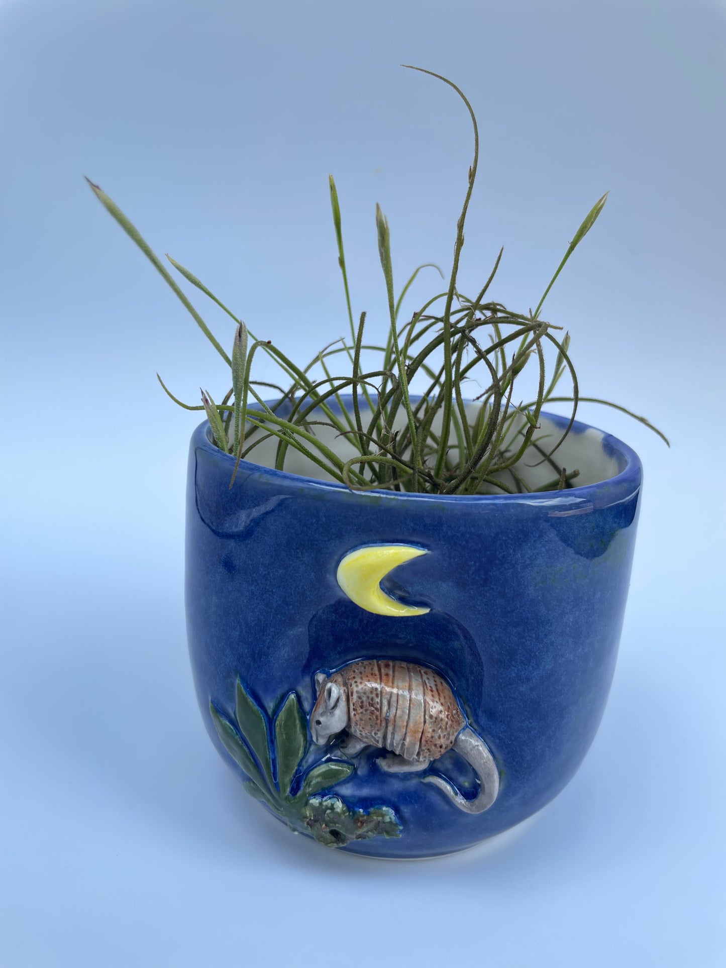 Planter - Armadillo