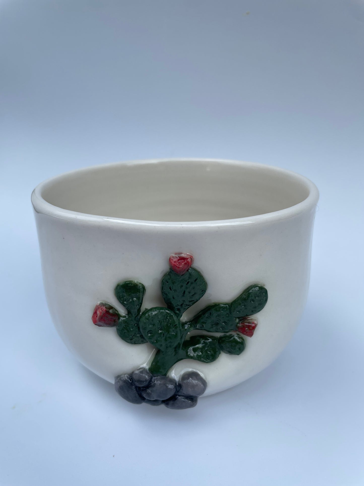 Planter - Prickly Pear