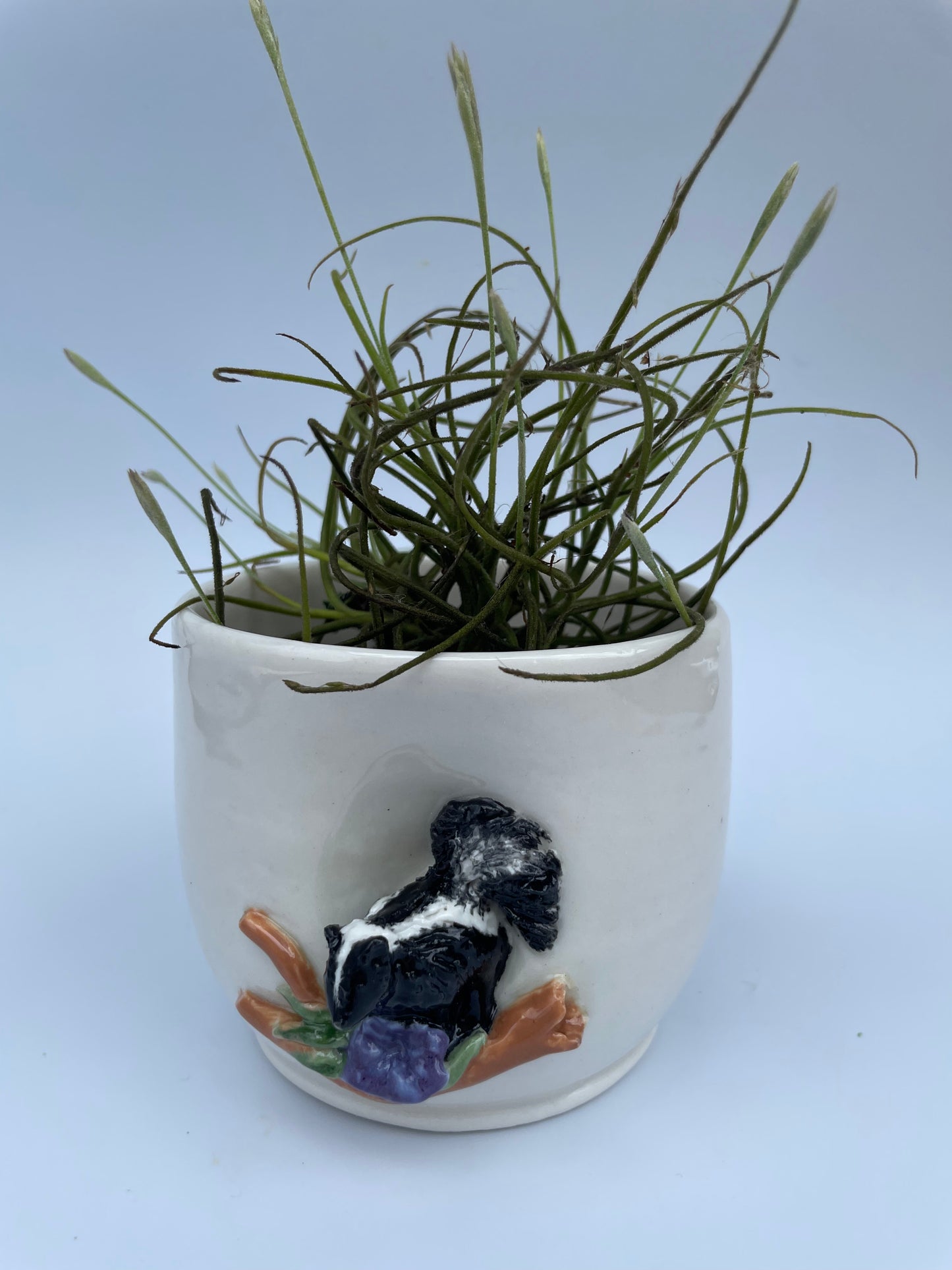 Planter - Skunk