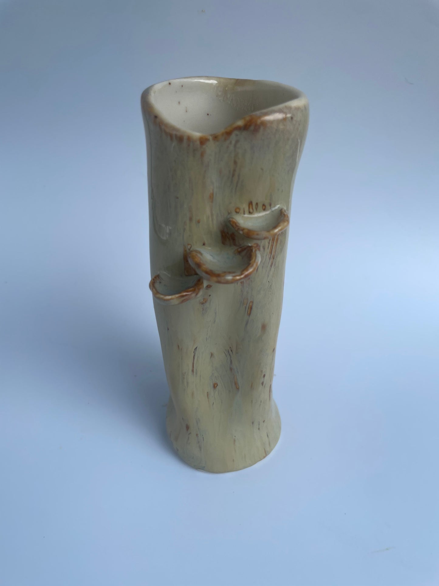 Log Bud Vase - Shelf Mushrooms