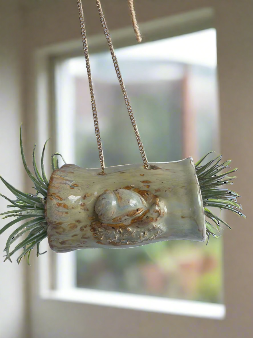 Ceramic planter with chain and air plants on a white background