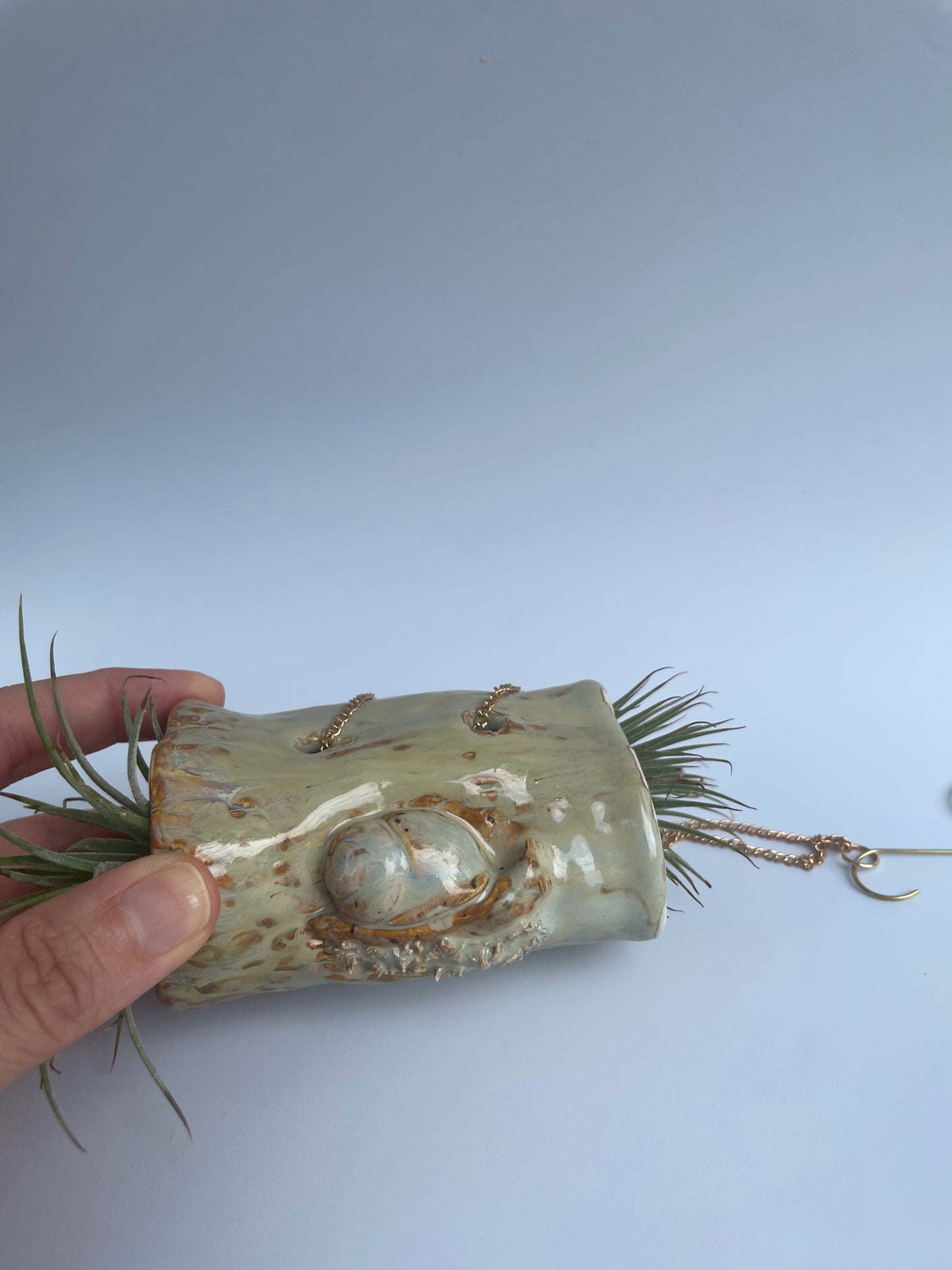 Hanging Log Planter - Snail