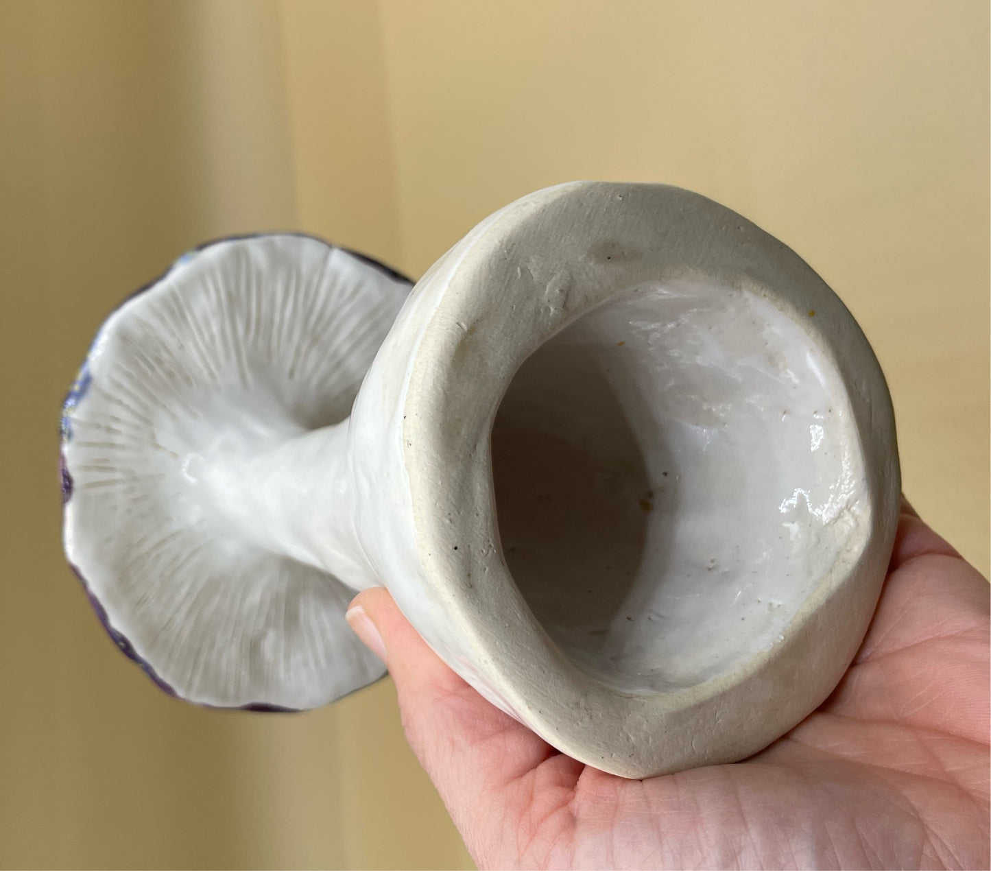 Mushroom Preorder