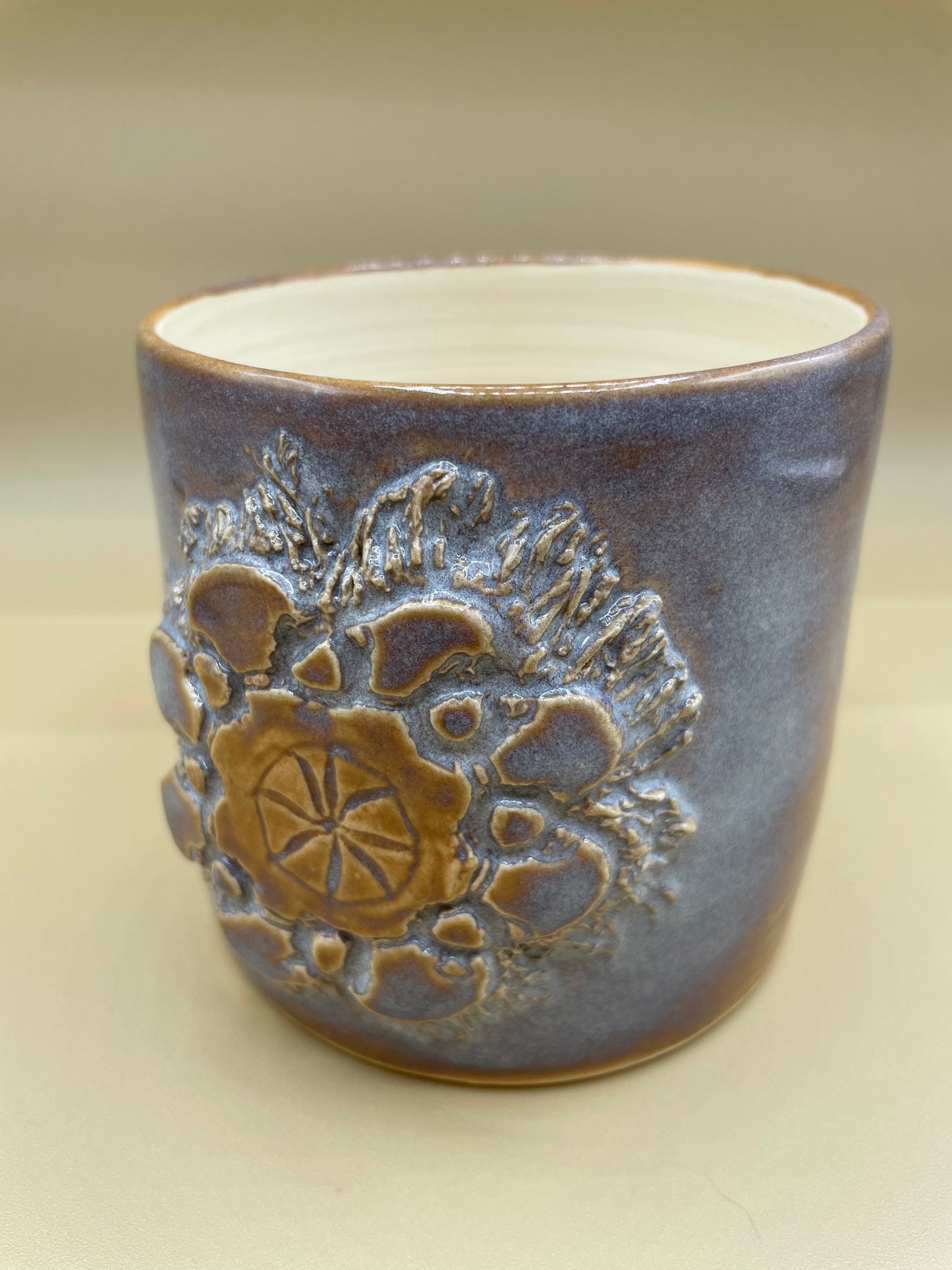 Sand Dollar Planter