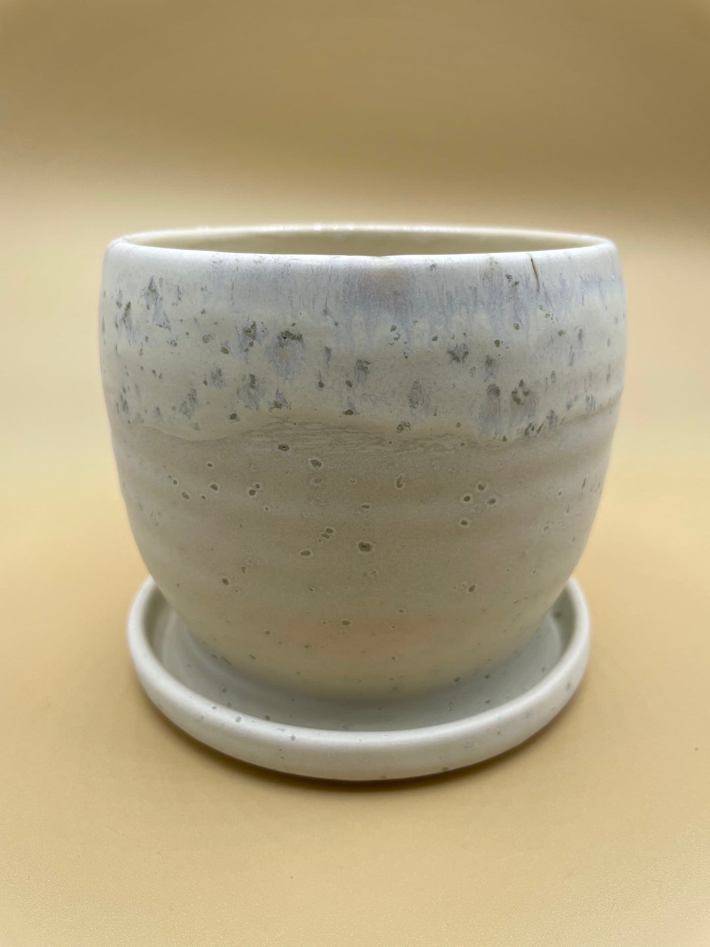 Sea Salt Planter with Tray