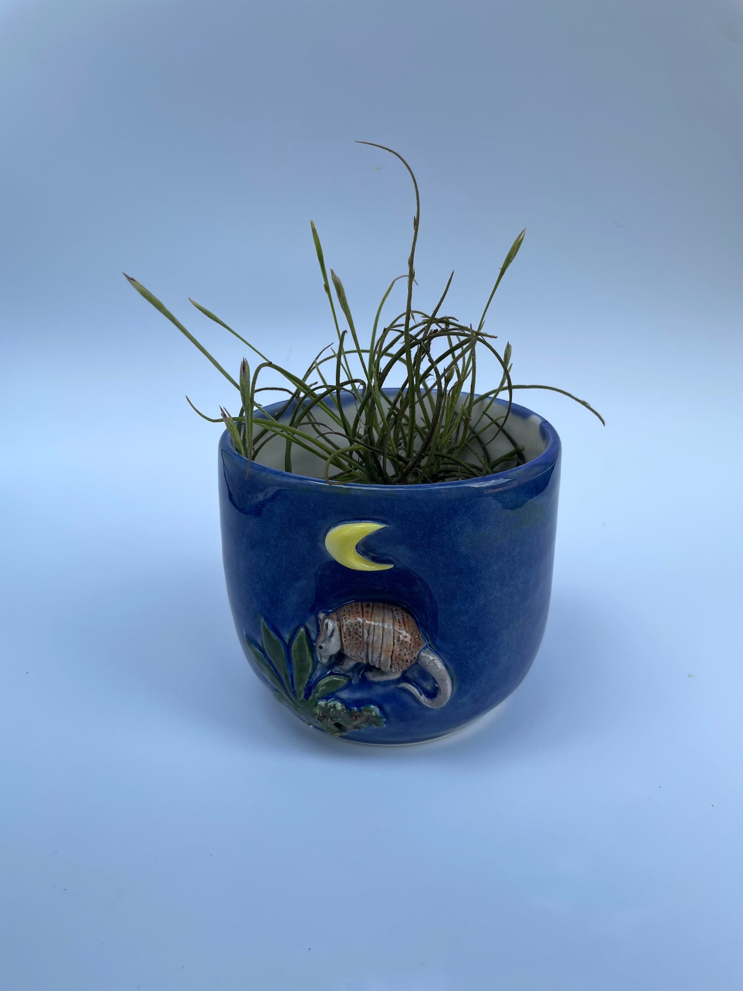 Planter - Armadillo