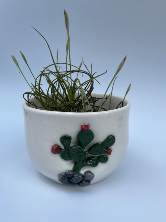 Planter - Prickly Pear