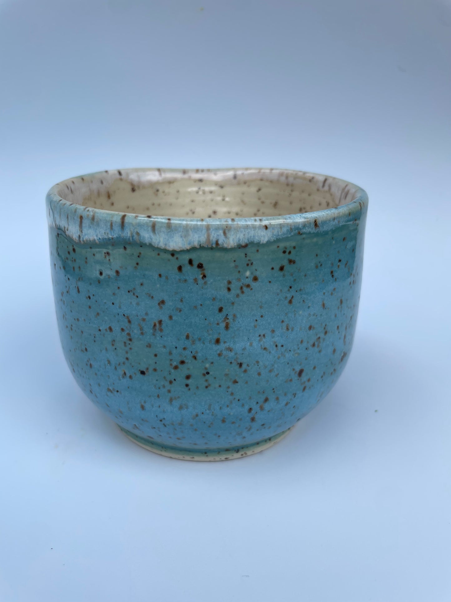 Planter - Feather & Eggs