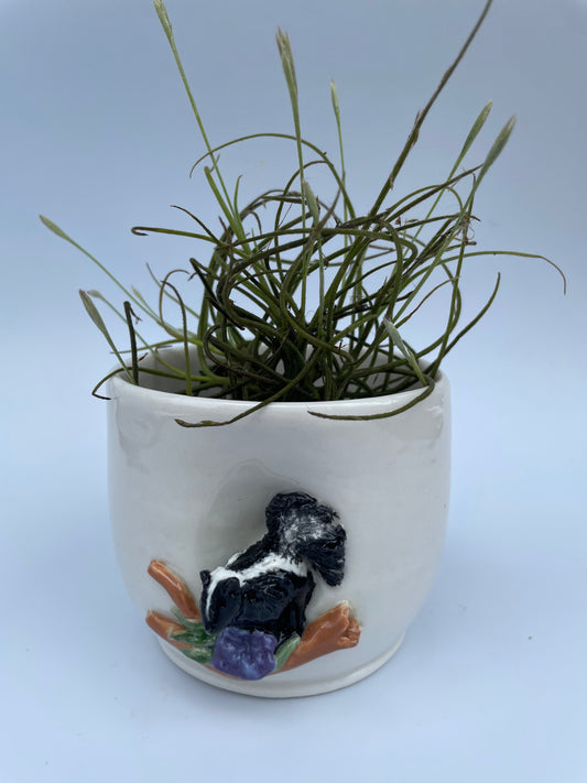 Planter - Skunk