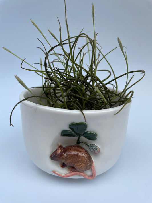 Planter - Mouse