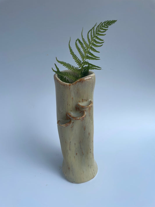 Log Bud Vase - Shelf Mushrooms