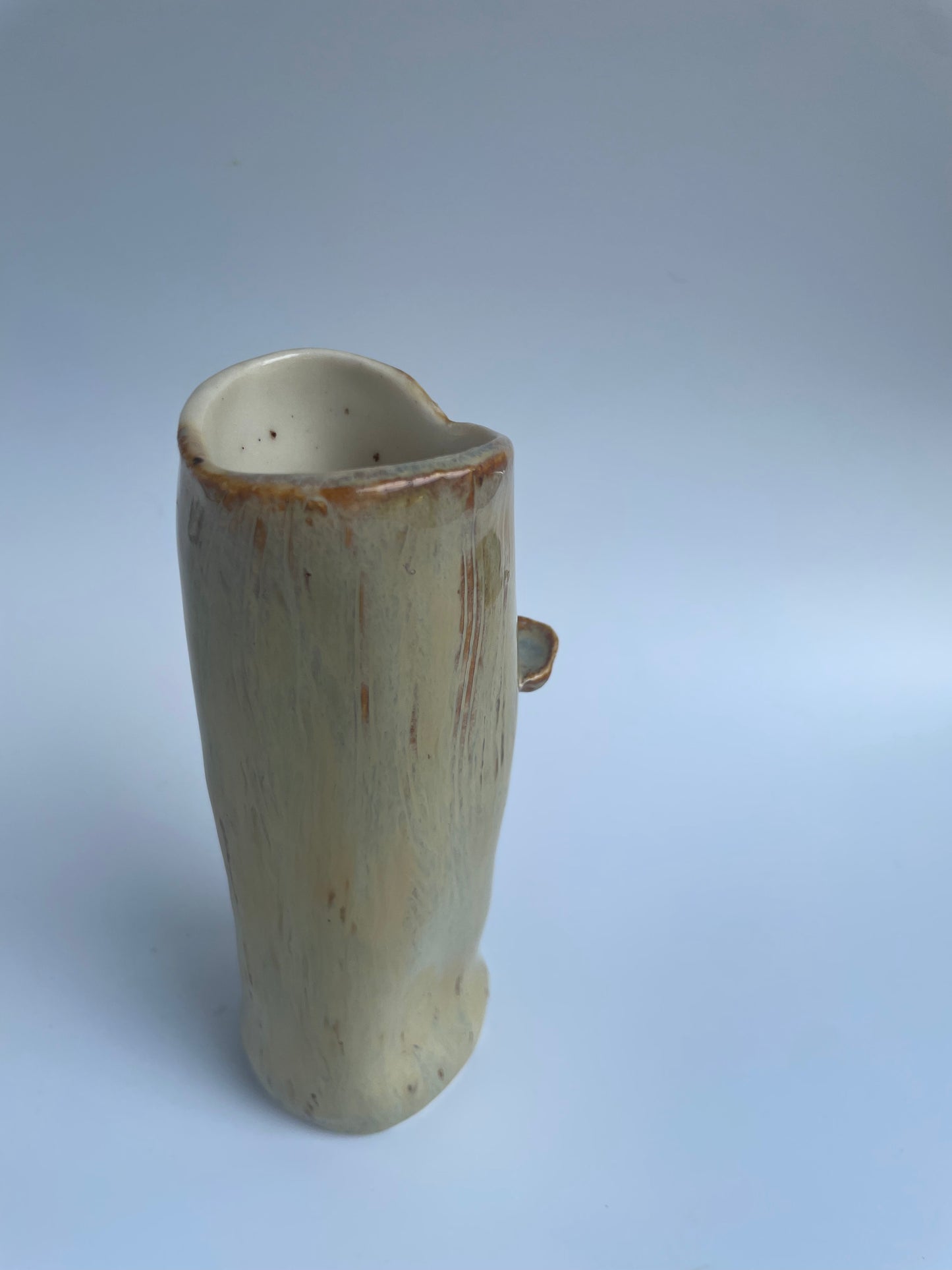 Log Bud Vase - Shelf Mushrooms