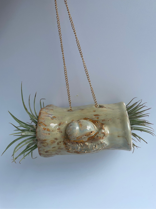 Hanging Log Planter - Snail