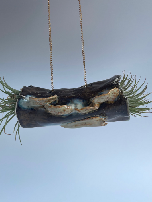 Hanging Log Planter - Fungus & Slug