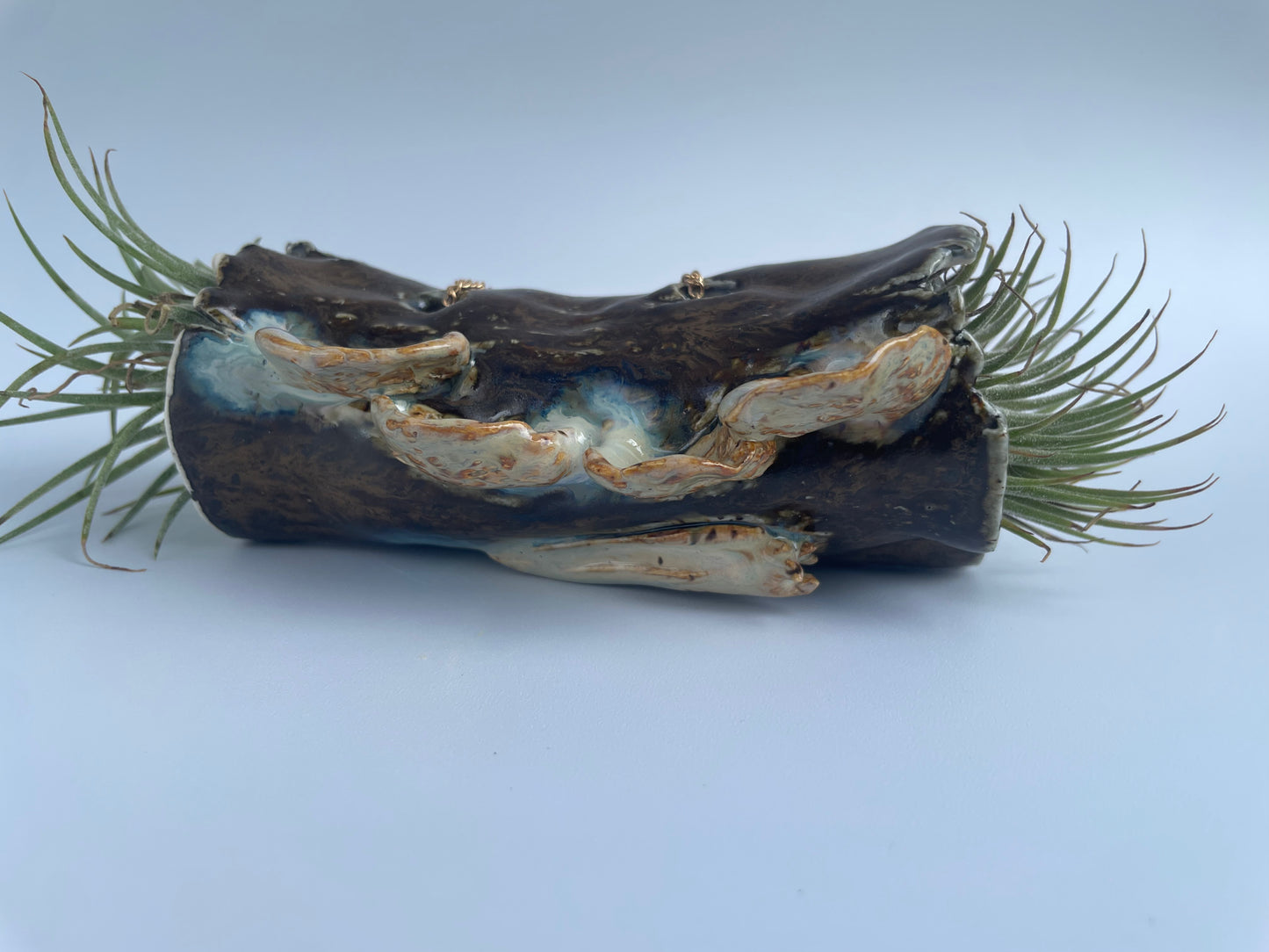 Hanging Log Planter - Fungus & Slug