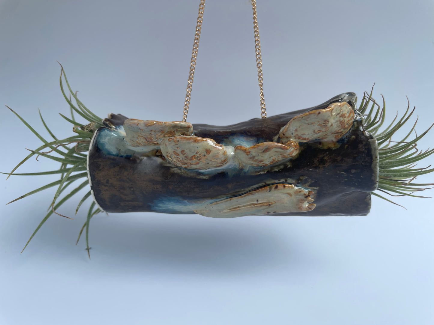 Hanging Log Planter - Fungus & Slug