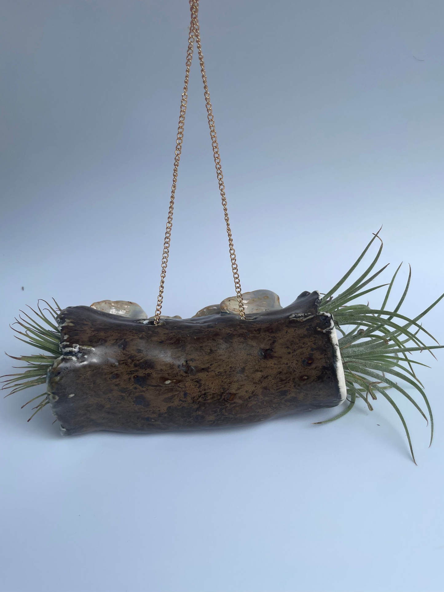 Hanging Log Planter - Fungus & Slug