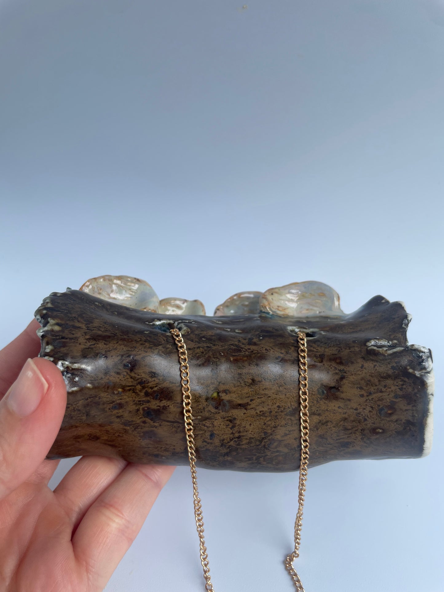 Hanging Log Planter - Fungus & Slug