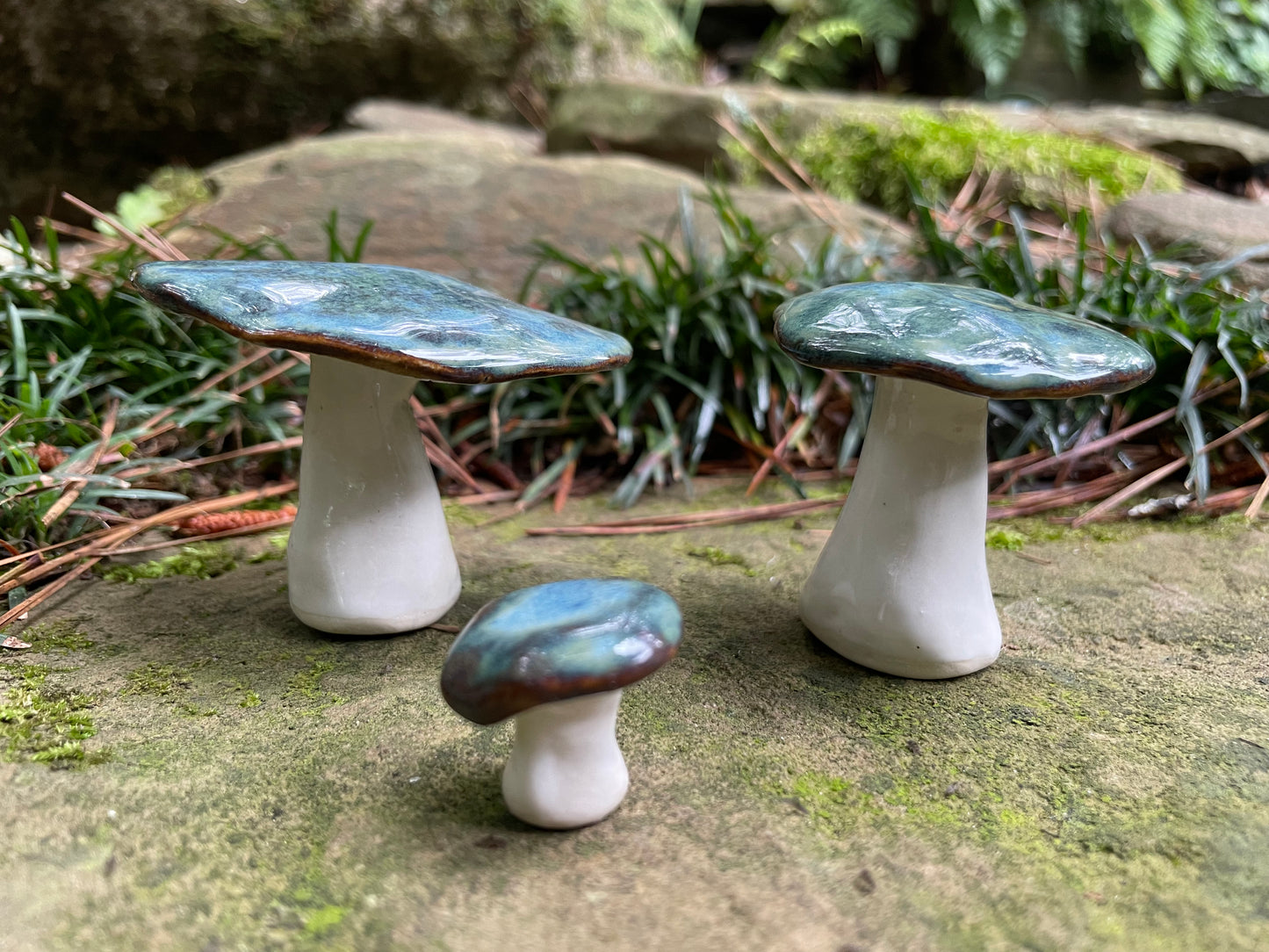 Blue Mushroom Set