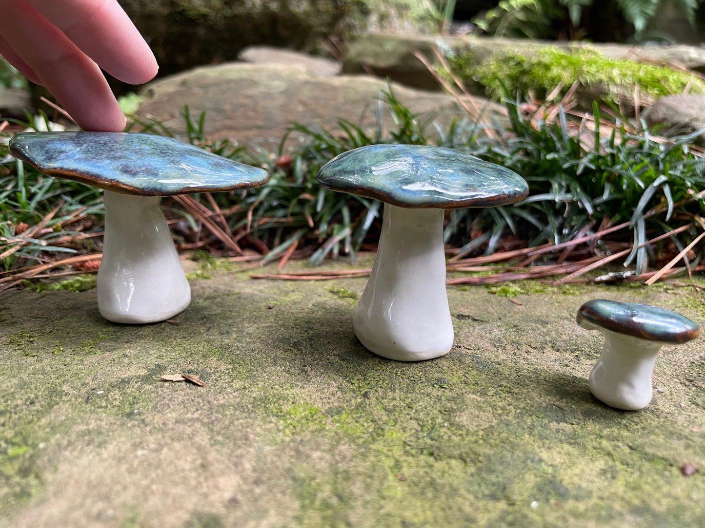 Blue Mushroom Set